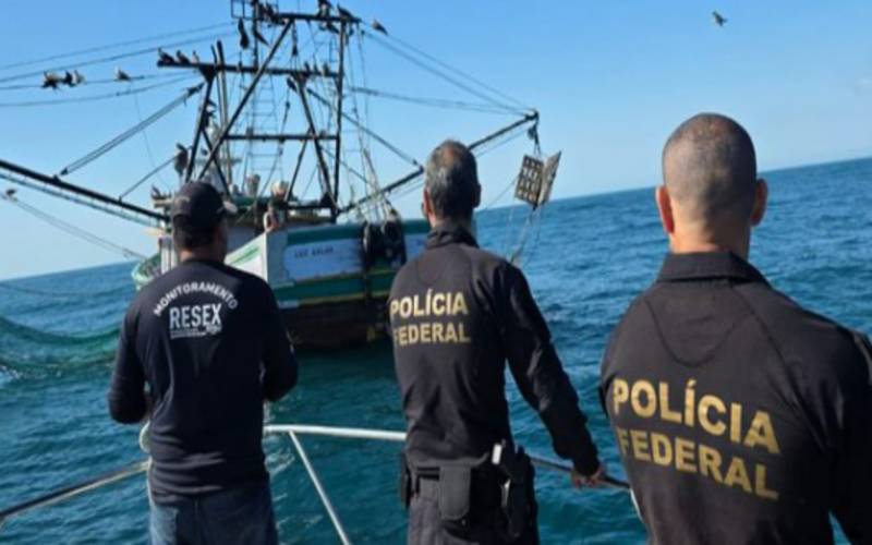 PF e ICMbio deflagram a Operação Jubarte no Rio de Janeiro