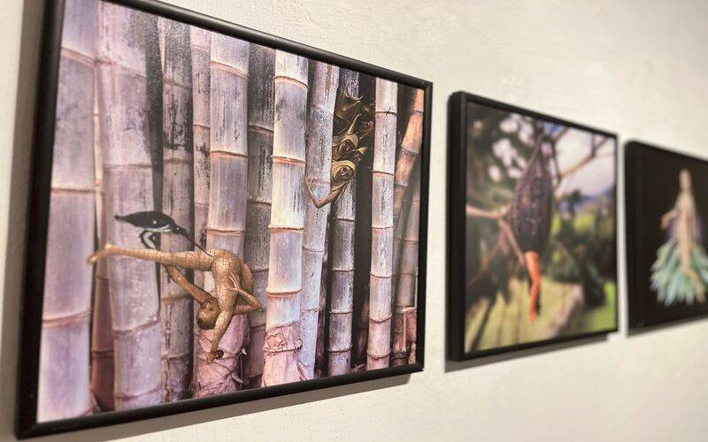 Exposição “Jardim das Delícias” entra em reta final na Casa de Petrópolis