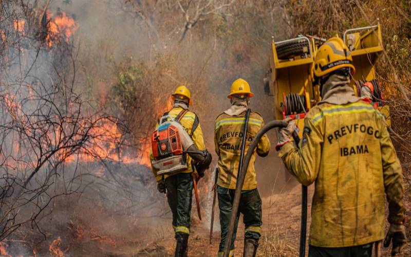 Brasil registra queda de 65,8% nas áreas queimadas e de 46,4% dos focos de calor em 20