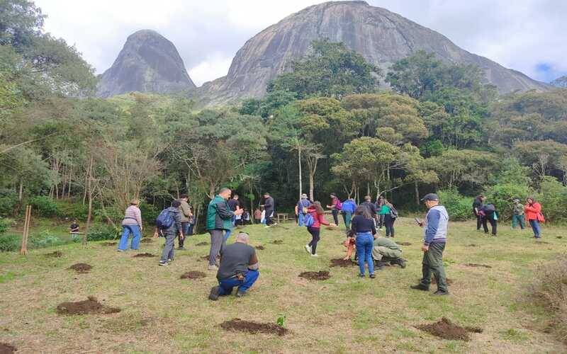 Em Nova Friburgo, alunos da rede pública estadual participam de plantio de mudas no Pa