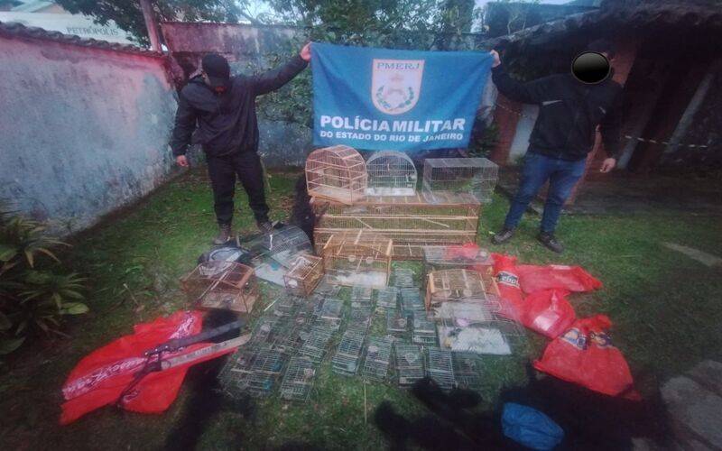 Ação conjunta entre Polícia Militar e ICMbio apreende aves e detém três em flagrante: 