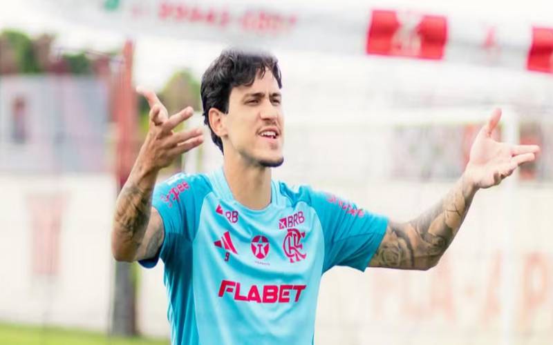 14ª rodada do Campeonato Brasileiro: Flamengo enfrenta o Santos