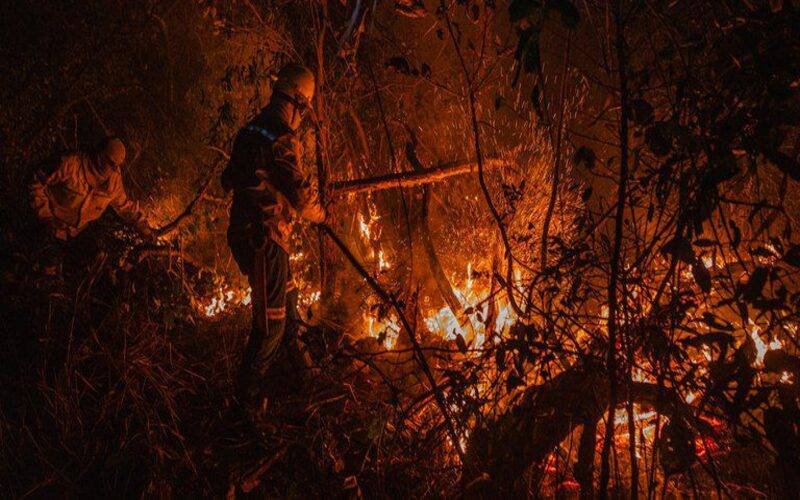 Fundo Amazônia aprova R$ 150 milhões para prevenção e combate a incêndios no Cerrado e