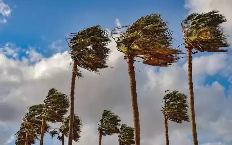 Defesa Civil emite aviso meteorológico para queda de temperatura e ventos fortes
