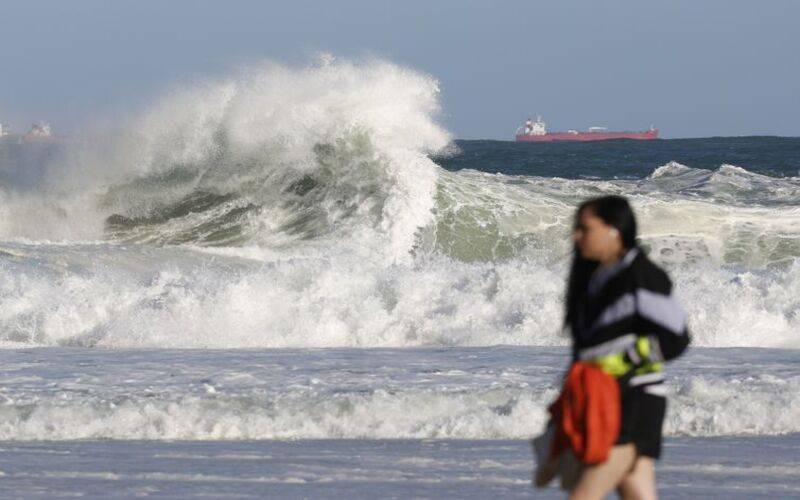Após ondas gigantes, cinco pinguins aparecem mortos na orla do Rio