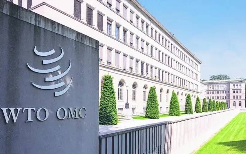 Brasil aciona OMC contra tarifaço dos Estados Unidos