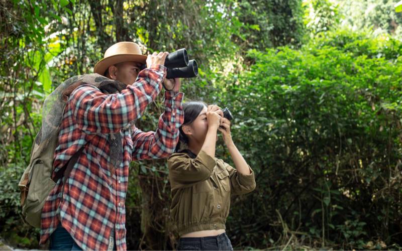 Ministério do Turismo lança chamada pública para mapeamento do turismo de observação d