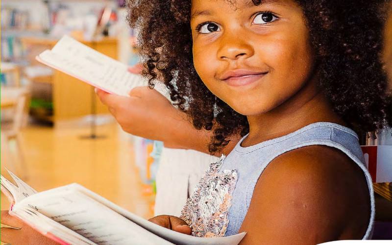 MinC lança cartilha sobre aplicação dos recursos da Aldir Blanc para bibliotecas públi