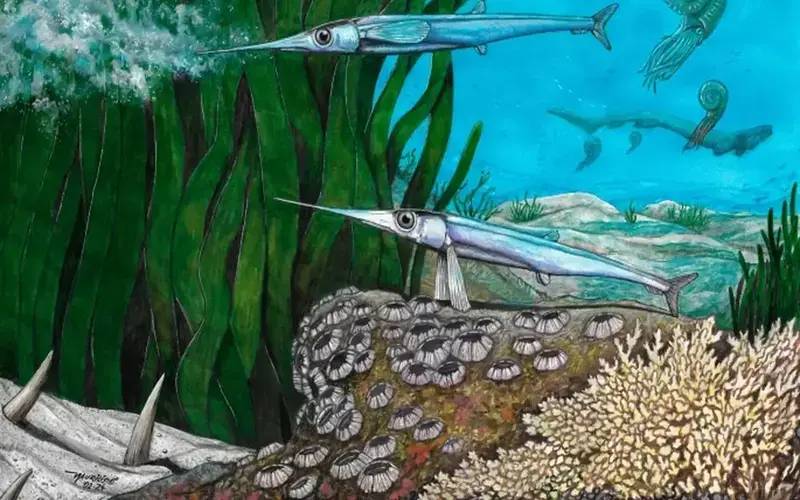 Revista Nature / Divulgação