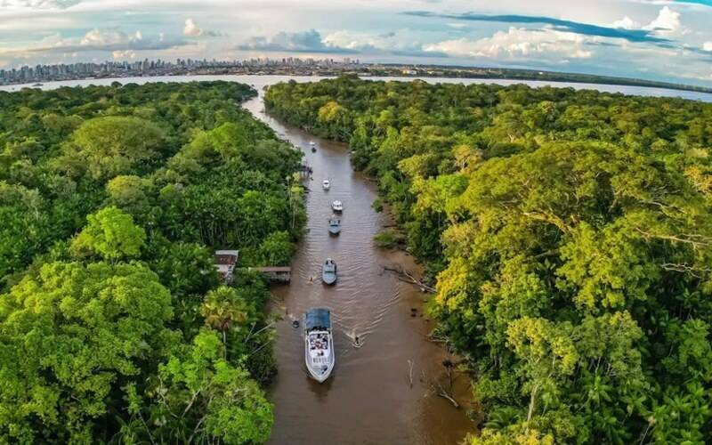 Governo Federal lança consulta pública sobre sustentabilidade do jornalismo ambiental 