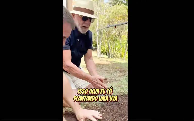 Em vídeo a Trump, Lula planta uva e diz semear comida e não ódio