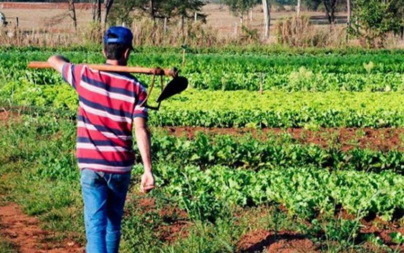 Desenrola Rural ultrapassa meta e soma 313 mil operações de renegociação de dívidas