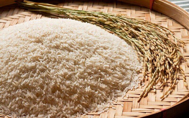 Conab negocia 109,2 mil toneladas de arroz em leilões de Contrato de Opção