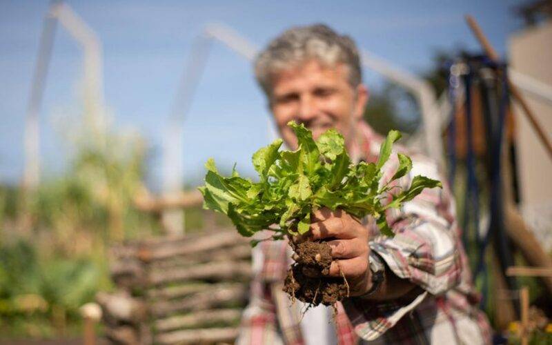 Governo dispõe R$ 1 bilhão e lança AgroAmigo no Norte e Centro-Oeste