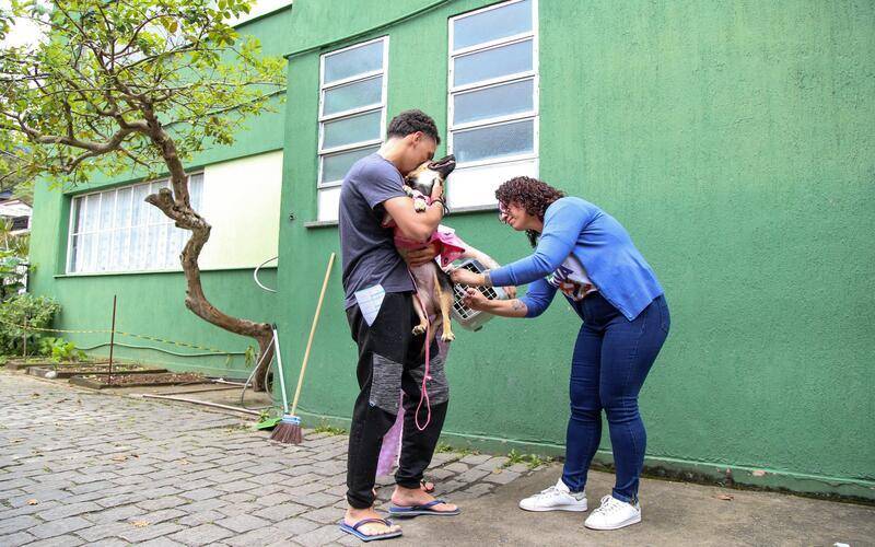 Vacinação antirrábica tem quase 17 mil cães e gatos imunizados este ano 