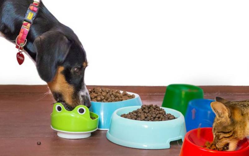 Japão vai comprar ´pet food´ produzida no Brasil