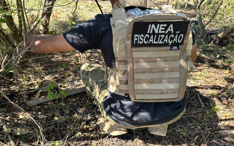 Inea resgata mão pelada e arara Canindé durante fiscalização realizada em Cabo Frio 