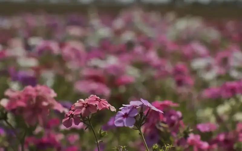 Primavera começa com chegada de frente fria, temporais e fortes ventos