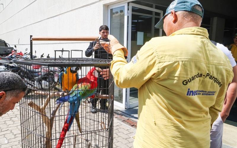 Instituto Estadual do Ambiente atua no resgate de mais de 800 animais silvestres