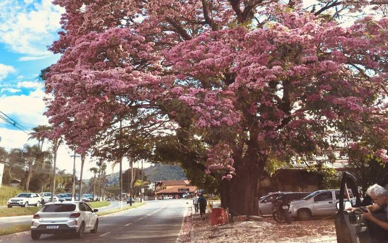 Foto: Estela Siqueira