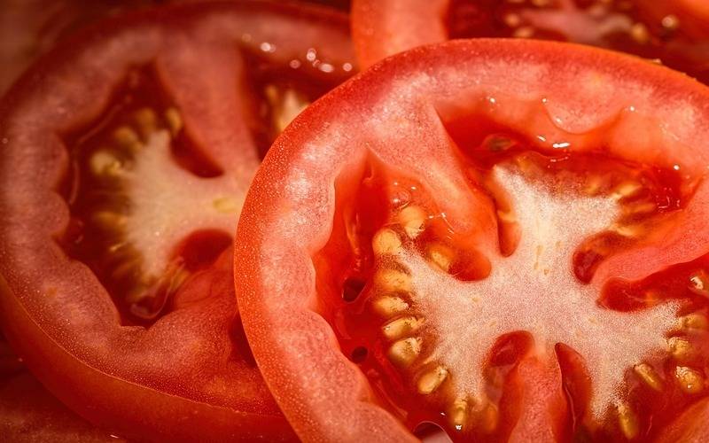 Boletim da Conab verifica queda acentuada de preços do tomate no atacado nos primeiros
