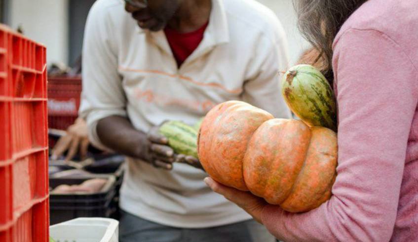 Desenvolvimento Social aprova estratégia para reduzir desperdícios de alimentos