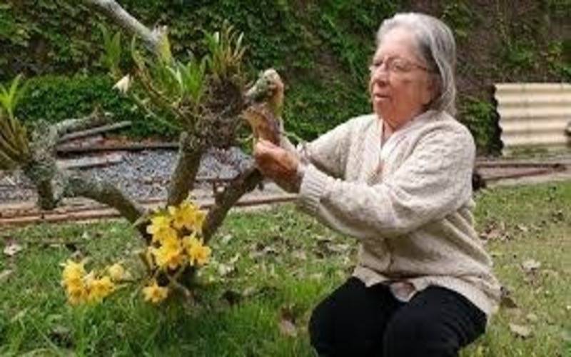 Ex-vereadora Wilma Borsato morre em Petrópolis aos 90 anos