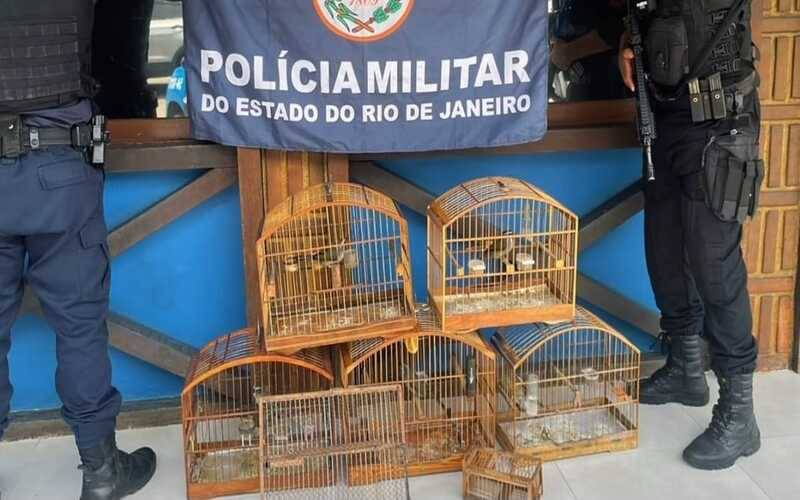 Nogueira: PM prende quatro detidos por posse irregular de animais silvestres