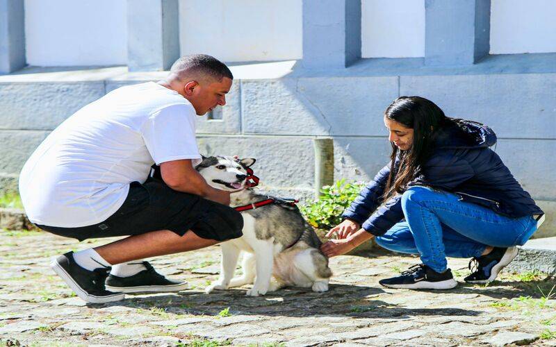 Petrópolis terá mais uma etapa de vacinação antirrábica neste sábado