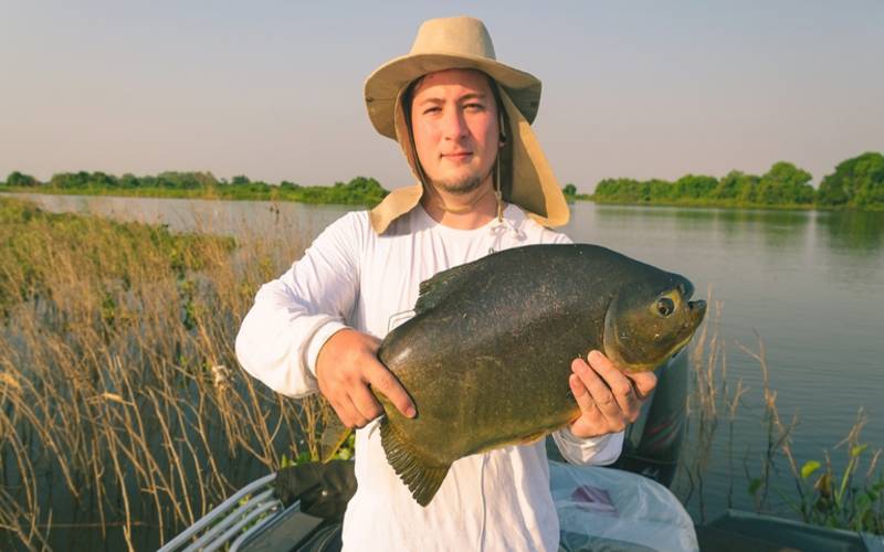 Pesca esportiva: conheça os 10 estados brasileiros favoritos para a prática