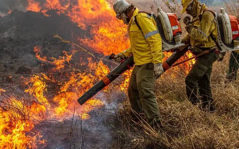 Pré-COP: Brasil propõe resposta global a incêndios florestais