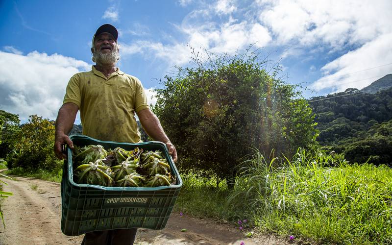 Feira dos Produtores do Brejal e Arredores Criativos chega à 5ª edição no Instituto Fa