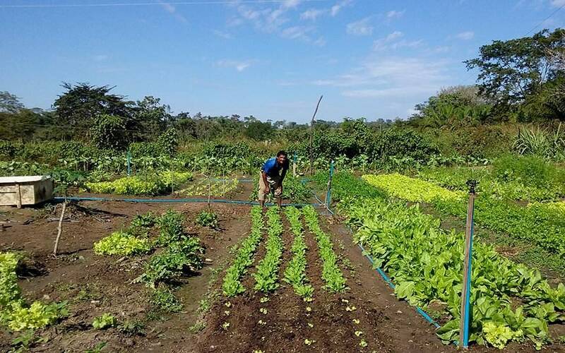 Sancionada lei que amplia acesso de agricultores familiares ao Garantia-Safra