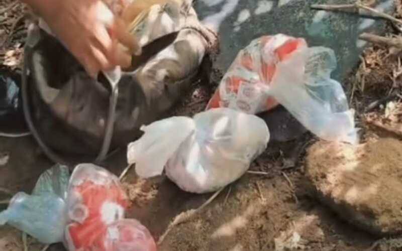 PM apreende drogas na Castelânea