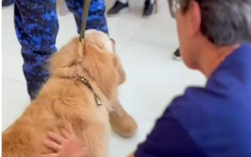 Guarda Civil promove cinoterapia em instituições de acolhimento de idosos 