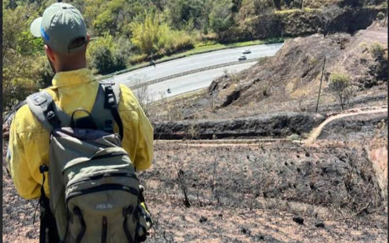 nea autua em R$ 1 milhão responsável por incêndio que devastou 209 hectares de Mata At