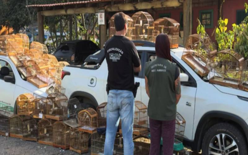 ICMBio aplicou R$ 3,28 milhões em multas em Petrópolis neste ano