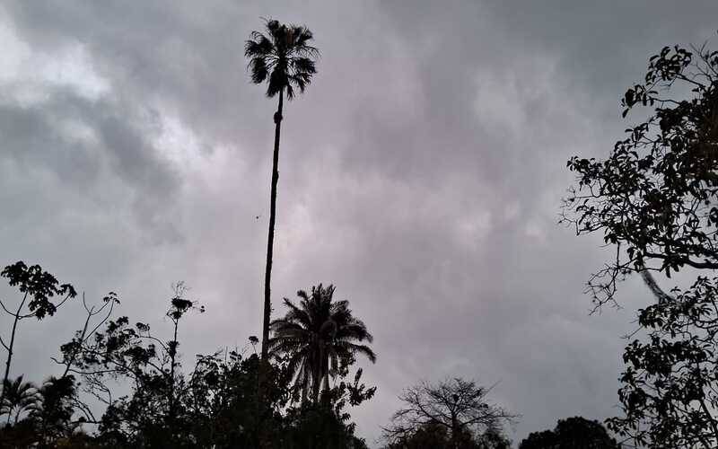 Foto: Fernanda Tavares