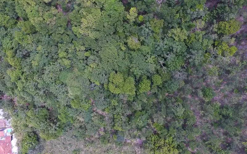 Exposição digital mostra vida nos seis biomas brasileiros