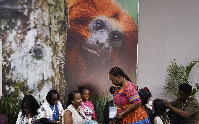 COP30: financiamento, transição e adaptação são centro das negociações