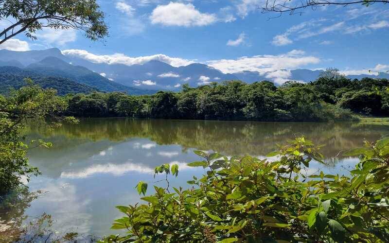 Soluções baseadas na Natureza: mitigar mudanças climáticas é destaque em estudo da Fir