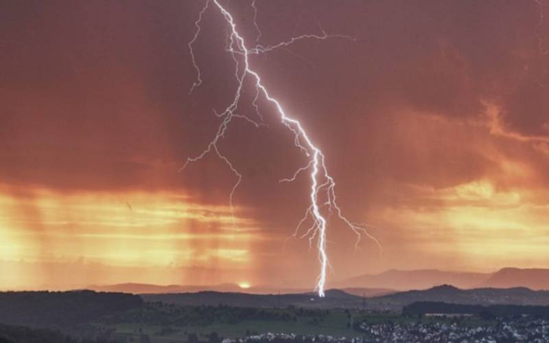 Foto:  Divulgação