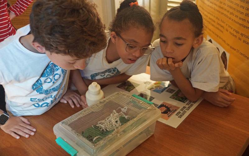 Exposição ‘Biodiversidade, Saúde e Arte’ é aberta ao público no Palácio Itaboraí  
