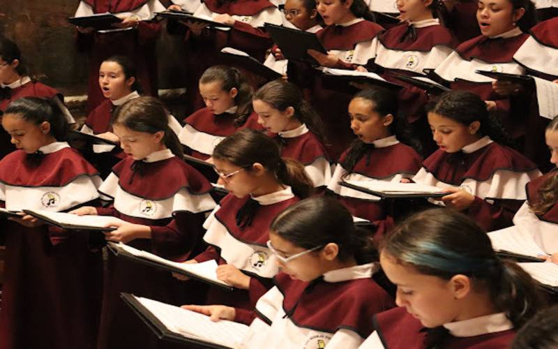 Intercâmbio Cultural entre Instituto Caminho da Roça e Projeto  Canarinhos