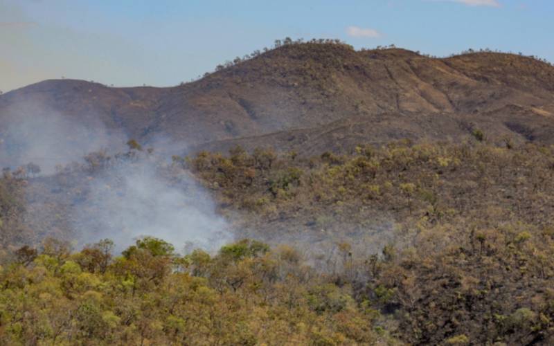 Incêndios florestais em unidades de conservação chegam ao menor patamar desde 2018