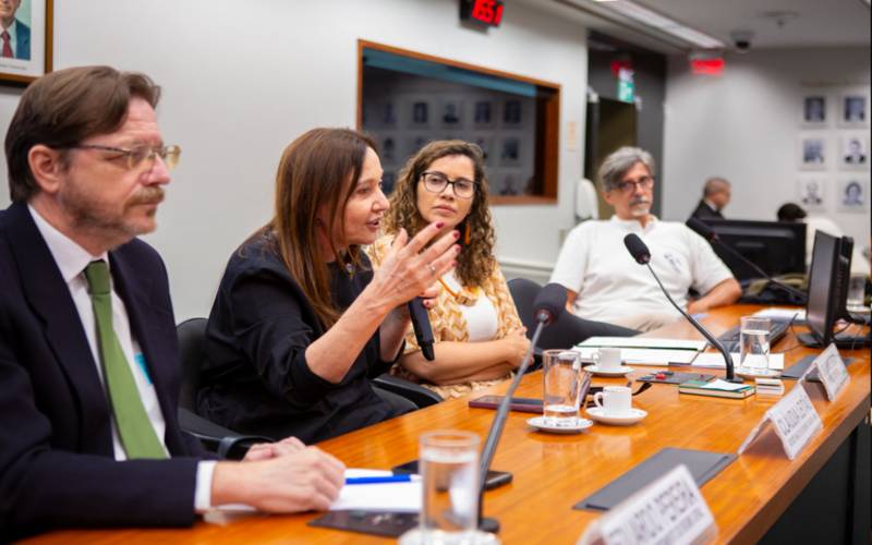 Câmara debate marco regulatório para trabalhadores da cultura em audiência pública