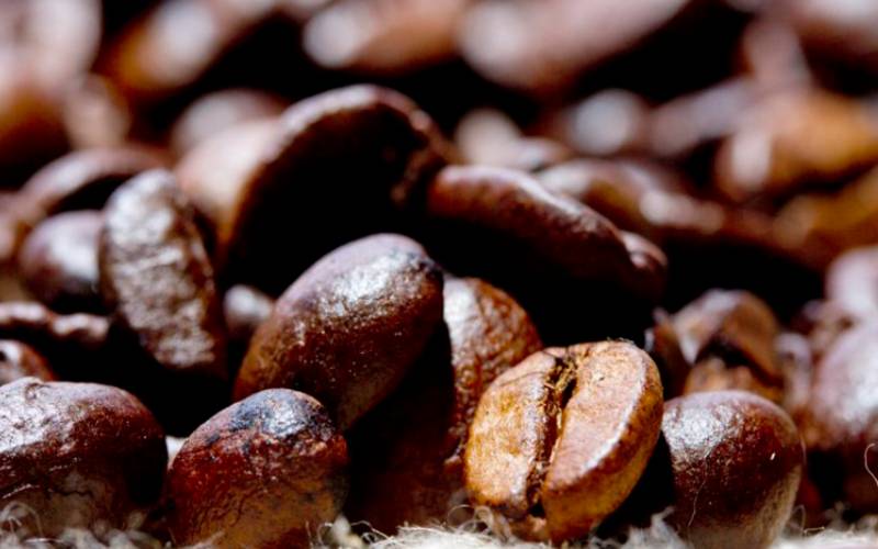 Café brasileiro exporta menos que há um ano, mas receita cambial é maior