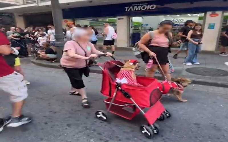 Dog’s Heaven promove Cãominhada e reforça luta contra maus-tratos