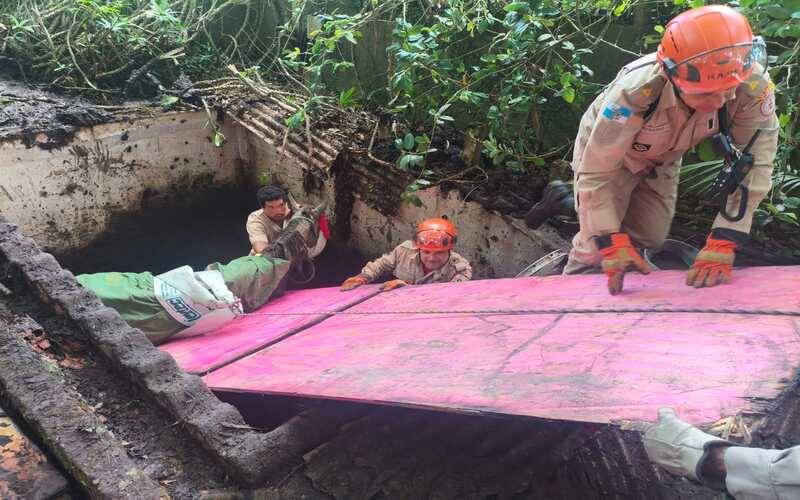 Bombeiros militares RJ resgatam cavalo preso em cisterna em área de difícil acesso em 