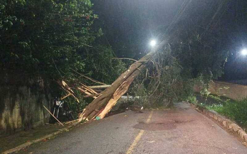 Defesa Civil de Petrópolis registra 15 ocorrências por conta dos ventos fortes